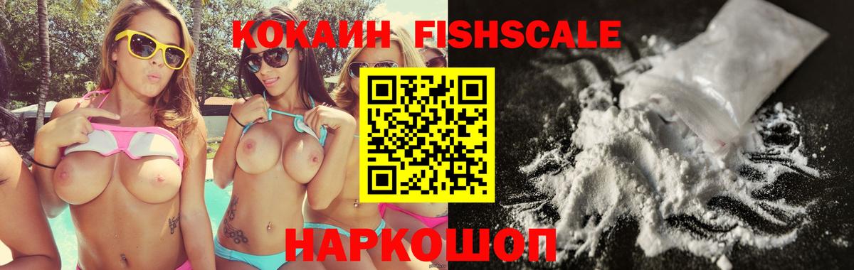 магазин продажи наркотиков  COCAIN FishScale  Кокаин FishScale  Вход с VPN  Гусь-Хрустальный 