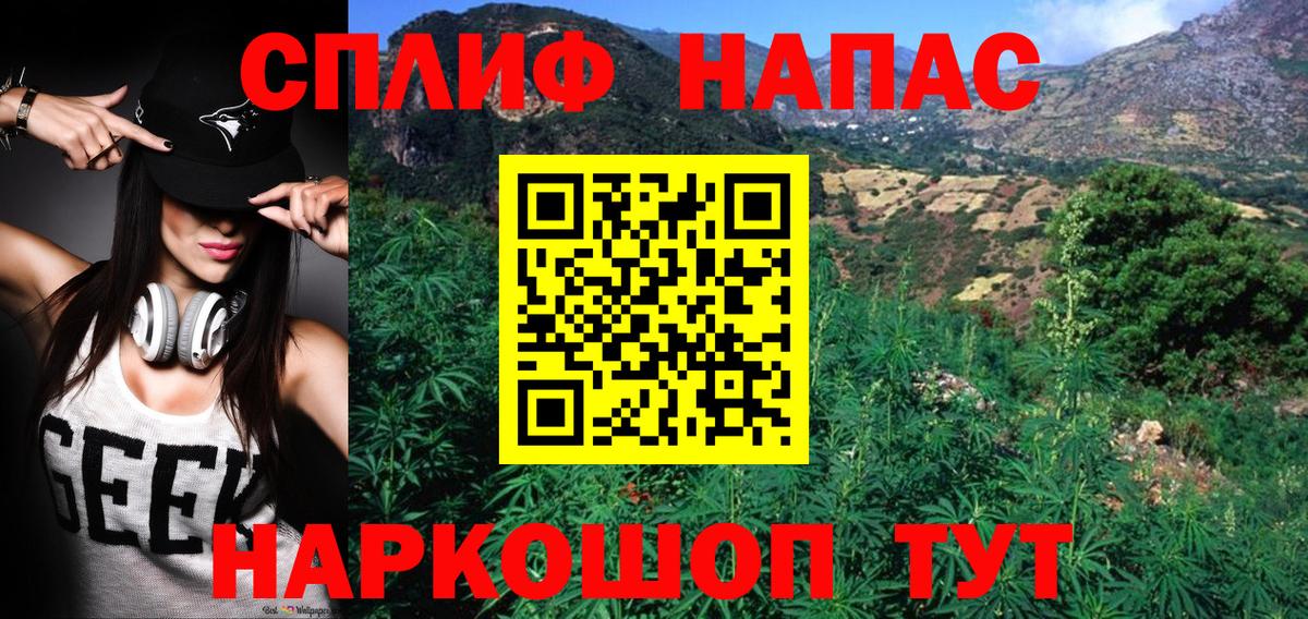Конопля SATIVA & INDICA Гусь-Хрустальный
